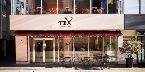 alfred_tea_room_aoyama_main01